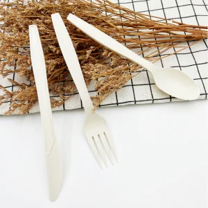 Disposable Spoon Fork Knife