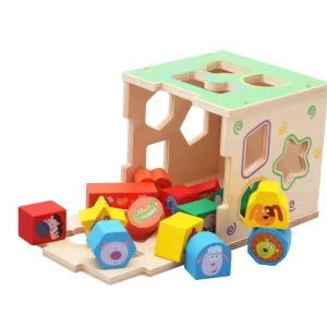 Children's Educational Wooden Block Set with Geometric Shapes and Cartoon Figures Eco-friendly Material Box Included