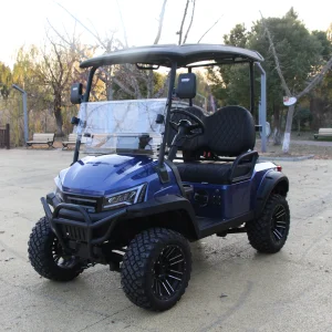 Gas Powered Golf Cart