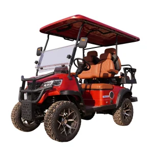 Carrinhos de Golfe Assento Confortável