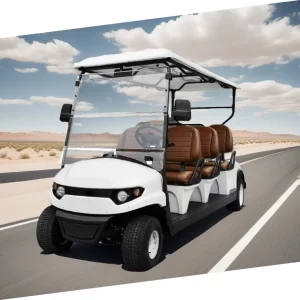 Sub Car Brazil Airport & Hotel 6-Seater Electric Transit Cart
