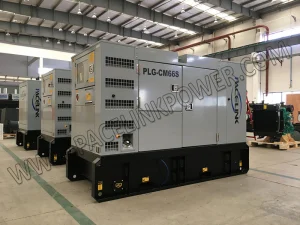 48kw مجموعة مولدات ديزل صامتة