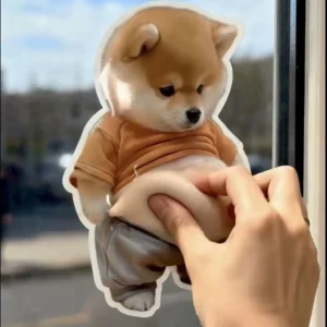 Puppy Big Belly Pinching Fun Cute Creative Stress Relief Toy Little Fat Shiba Inu Car Anti-collision Sticker TPR Material