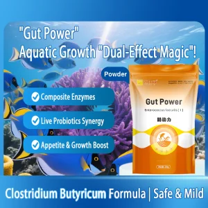 Gut Power Compound Enzyme for Gut Health &amp; Growth Feed Additive