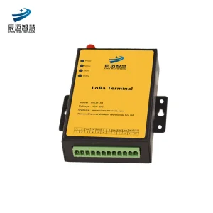 Advanced Lora Terminal Essentials for Technical Information Needs