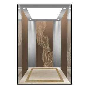 Fujivista Bronze Cabin Sleek Hydraulic Buffer Elevator for Passengers in Hotel Environments