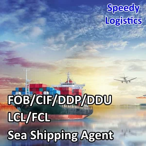 Sea Freight to Mundra, Karachi, Durban Full Container Sea Shipping Agent Transportation Delivery Service