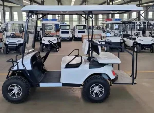 Premium 6 Seater Electric Golf Cart
