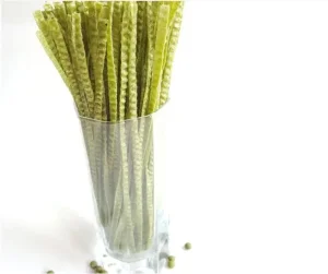 Wholesale Factory Green Soybean Pasta Gluten Free Health Food OEM