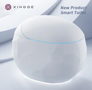 Luxury Smart Toilet