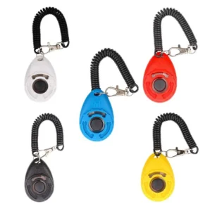 Training Clicker