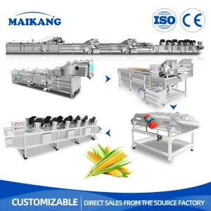 Industrial Customized Vegetable Fruit Blanching Steaming Cooling Air Drying Line for Food Processing
