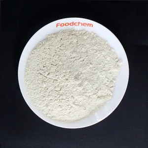 Food Grade Protein 85% Wheat Gluten Powder