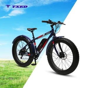 Long Range Fat Tire Ebike