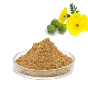 High Quality Tribulus Terrestris Saponin