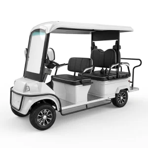 Electric Golf Carts 6 Seater