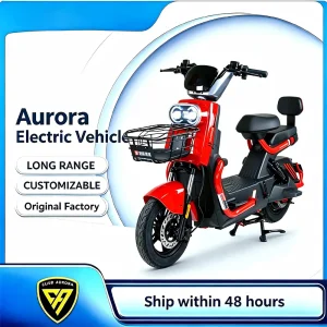 China Premium Electric Bike
