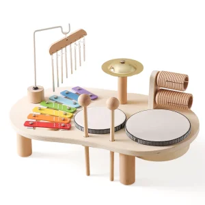 Musical Instrument Toys