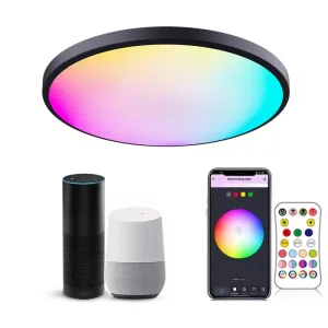 Alexa Smart Ceiling Light