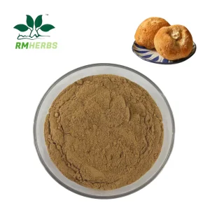 High-Potency Organic Lion's Mane Extract with Over 30% β-Glucan