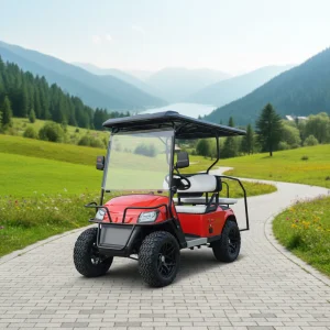 Custom Electric Steel Golf Cart Outdoor Sightseeing Car