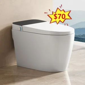 Simple Floor Mounted Wc Intelligent Seat Bidet Bathroom Toilet Bowl Sanitaryware Electric Automatic Tankless Smart Toilet