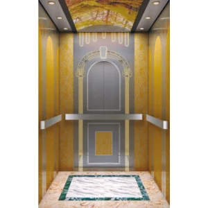 V FUJI Manufacturer Machine Roomless Customized Home Lift Passenger Elevator