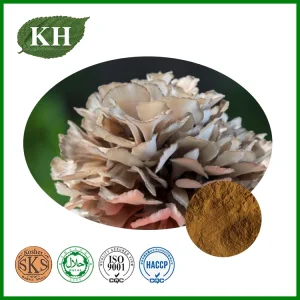Extrato de Grifola Frondosa Extrato de Cogumelo Maitake Polissacarídeos
