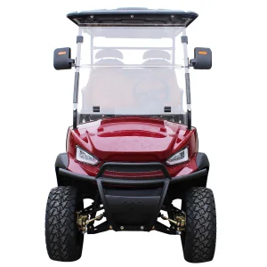 Electric Golf Cart Custom Golf Buggy 4 Seater Big Display Economical Sightseeing Tourism and Rentals
