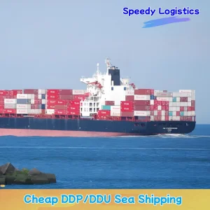 Sea Freight Forwarder Shipping Agent to Singapore, Indonesia, Malaysia, Sri Lanka, Oman, Dubai, Saudi Arabia, Bahrain, Iran, Qatar, Kuwait Shipping Logistics
