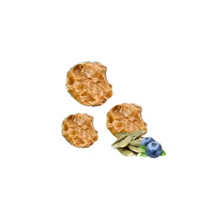 Pumpkin and Blueberry Dog Treats