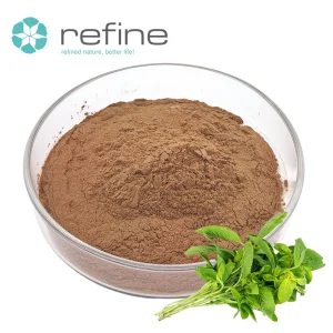 Organic Tulsi Extract Powder Ursolic Acid