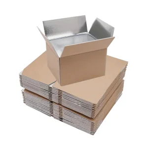 Aluminum Foil Insulated Shipping Box