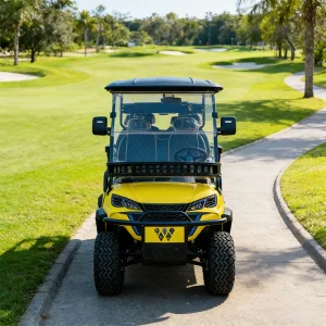 WOLAN Manufacturer Support Customization GPS Track 4 Seater Fleet Golf Cart for Rental Management