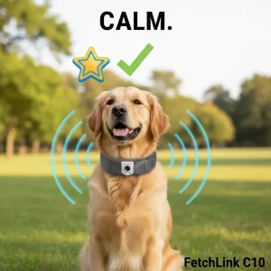 Fetchlink C10 Rastreador GPS Inteligente para Coleira de Cachorro com 2MP Câmera Pet Pov