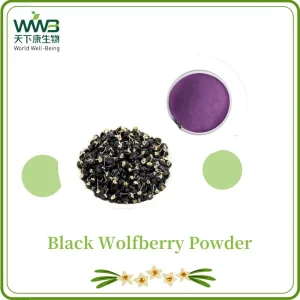 Extrato de planta de bem-estar mundial, extrato herbal, alimento saudável, pó de suco de baga preta, pó de baga preta