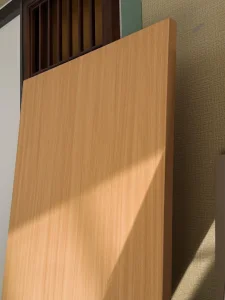 Customized MDF Waterproof Fireproof Door