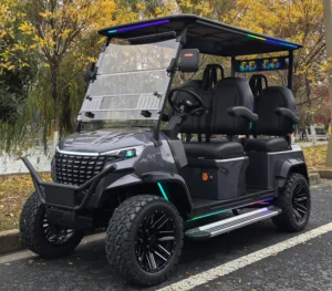 Off-Road Electric Golf Cart 5kw Motor Curtis Controller CE Certified Energy-Saving Eco-Friendly Electric Patrol Vehicle