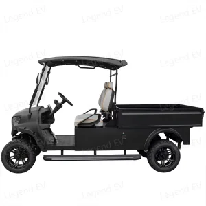 2025 Buggy Utility