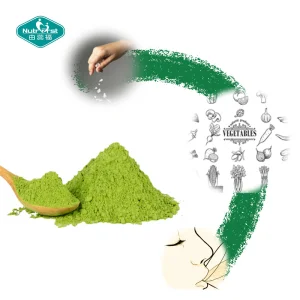 Vegan Digestive Enzymes Powder