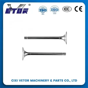 CD70 motorcycle valve