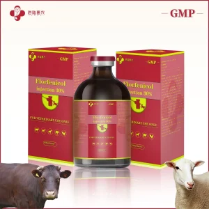 Supply Top Quality Veterinary Drug Grade Chickens Poultry Antibiotics Medicine Florfenicol Injection 10% 30% Treating Bacterial Diseases Chemical Drug
