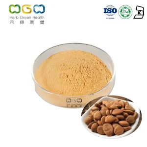 Bitter Apricot Seed Extract