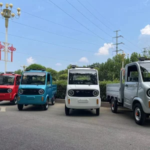 China Mini Dump Truck