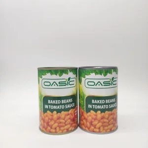 425g Precio mayorista de frijoles rojos enlatados al horno en salsa de tomate