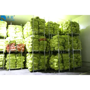 Custom Refrigeration Freezer