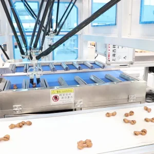 Modular Delta Robotic Case Packing Line for Frozen Pastry and Pies