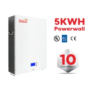 5kWh 51.2V 48V 100Ah Lithium Ion Battery