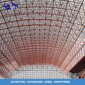 Customized Modern Prefabricated Steel Aircraft Hangar, New Self-Storage Clear Span Hangar Facility for Private Jet Hangar
