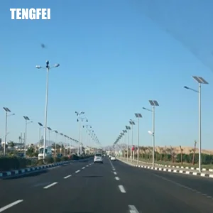 Solar Street Light Road Lamp